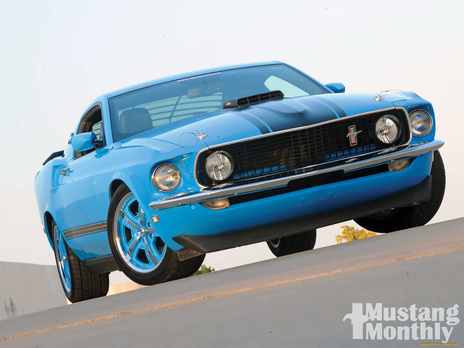 , mustang